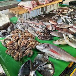 Durch den kleinen Souk spaziert und lecker Fisch gegessen
