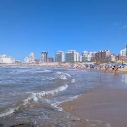 Why everyone is here