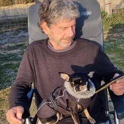 König PI auf seinem Thron 🤴