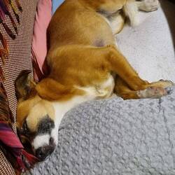 Hach war das wieder anstrengend heute