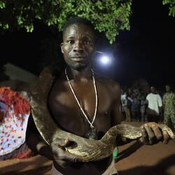Es wird mit Schlangen hantiert