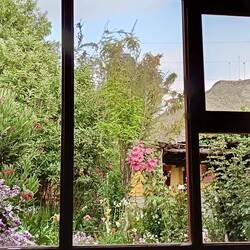 View from our bedroom window at Casa Bella Flor