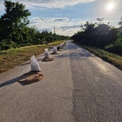 Auf der Straße wird Reis getrocknet