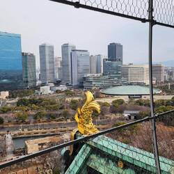 View from the top floor