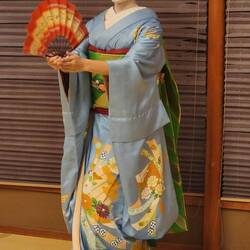 Geisha Performamce with Local Dinner