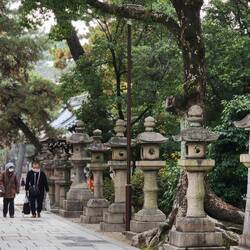Stonne lamps at Sumiyoshi Taisha Shrine, Osaka