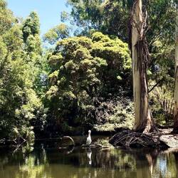 healesville sanctuary