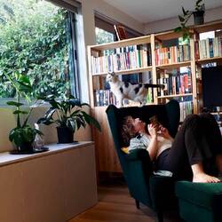 i think she likes the new apartment