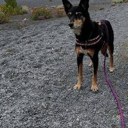 Gaïa qui cherche Pablo 😂