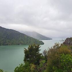 An einem Lookout des Queen Charlotte Drive