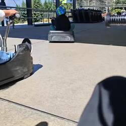 Skyline Luge / Rodeln