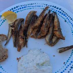 Nachher - die ersten Boquerones der Saison