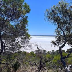 Pink Lake ist nicht mehr pink durch weniger Salzgehalt