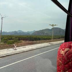 Hier könnte gleich ein Märchen oder eine Zombie Apokalypse gedreht werden bin mir noch unschlüssig