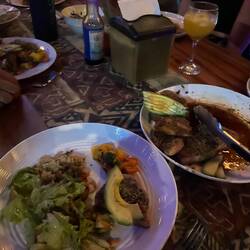 tuna with several salads