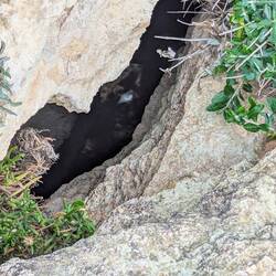 Die Warnhinweise sind nicht unbegründet