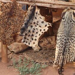 Auf dem Fetischmarkt