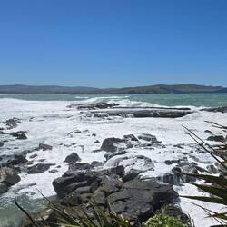 Curio Bay