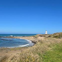 Waipapa Point