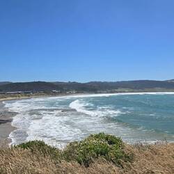 Curio Bay