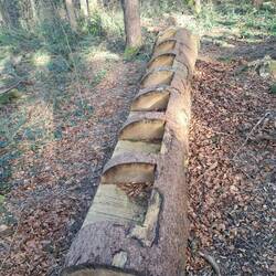 Bänke beim Waldkino