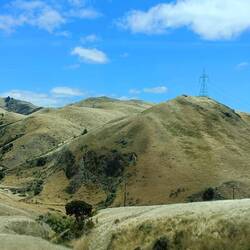 Les plaines couleur or