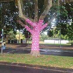Trees dressed for art event