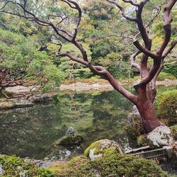 Garden in the Heian Shrine