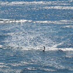 We watched a little surfing