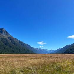 Fahrt zum Milford Sound... Yeah 🚐