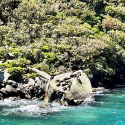 Bissal chillen am Felsen 😎