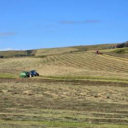 Wie bei uns daheim...