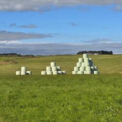 Heuballen Art 😂😂😂