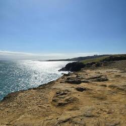 Die Klippen sind bei dem Wind ganz schön gefährlich... 🙉