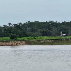 Riverbank erosion along cattle ranches