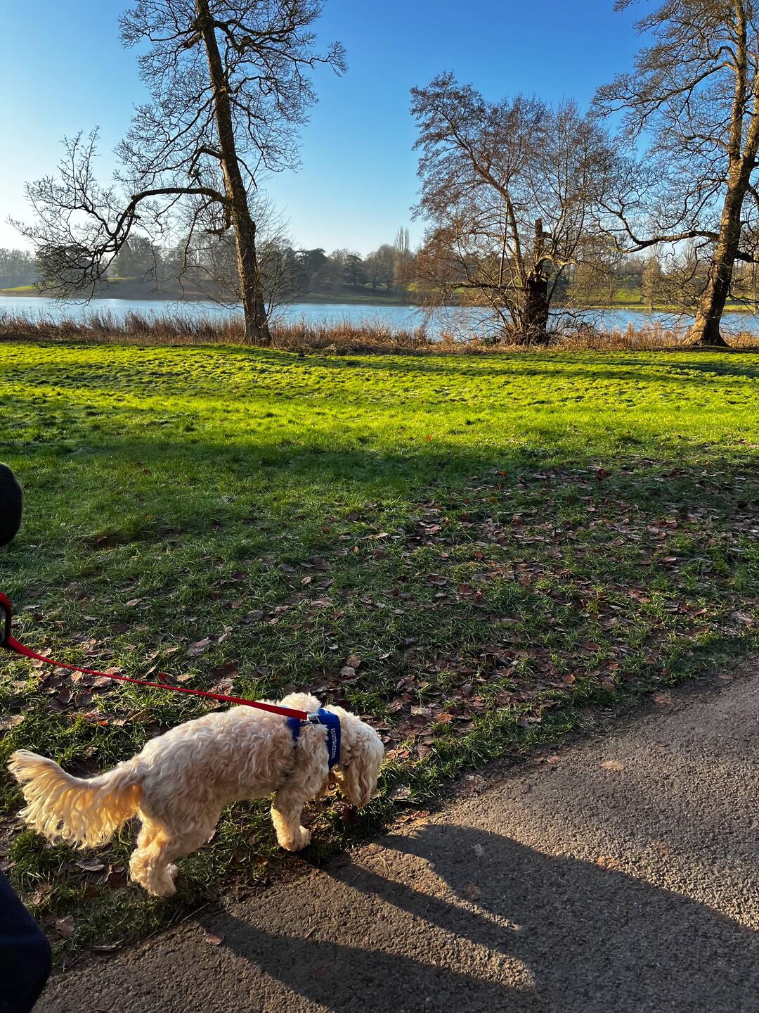 The walk around the Castle's Queen Pool