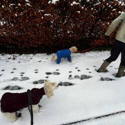 Snow jackets for all