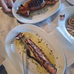 Gefüllter Squid (Kalmar) und gegrillter Oktopus 🦑🐙