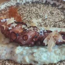 Der Pulpo zur Vorspeise ist so frisch, er bewegt sich noch 😜