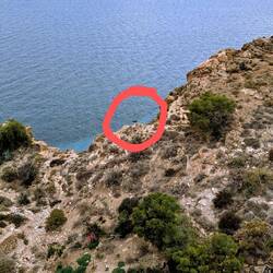 Ein Steinbock 😯🤭👍