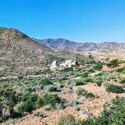 Das könnte auch in Arizona oder Mexiko sein🤔😯