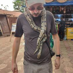 Naja...soll Glück bringen