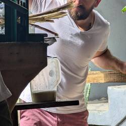 Extracting juice from a sugar cane.