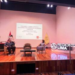 Workshop in der Architektenkammer von Peru in Lima