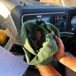 "Mein" Baby Känguru