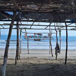 Viele "Palapas" am Strand "Mata de Uva"
