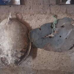 Die Diola nutzten Schildkrötenpanzer und die Haut der heute hier ausgerotten Nilpferde als Schild