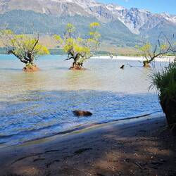 Glenorchy / Lake Wakatipu