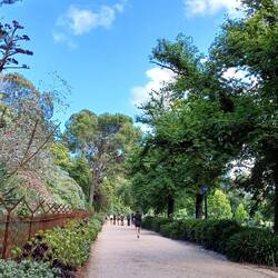 Walkway outside botanic gardens