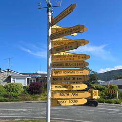 Wohin des Wegs? 🤔 Am McGibbon's Corner Reserve in Manapouri